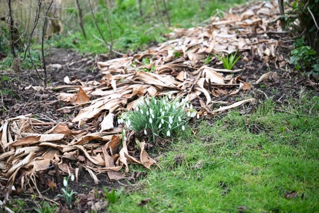 20260215_Kruwerstocht (gr) (16).jpg