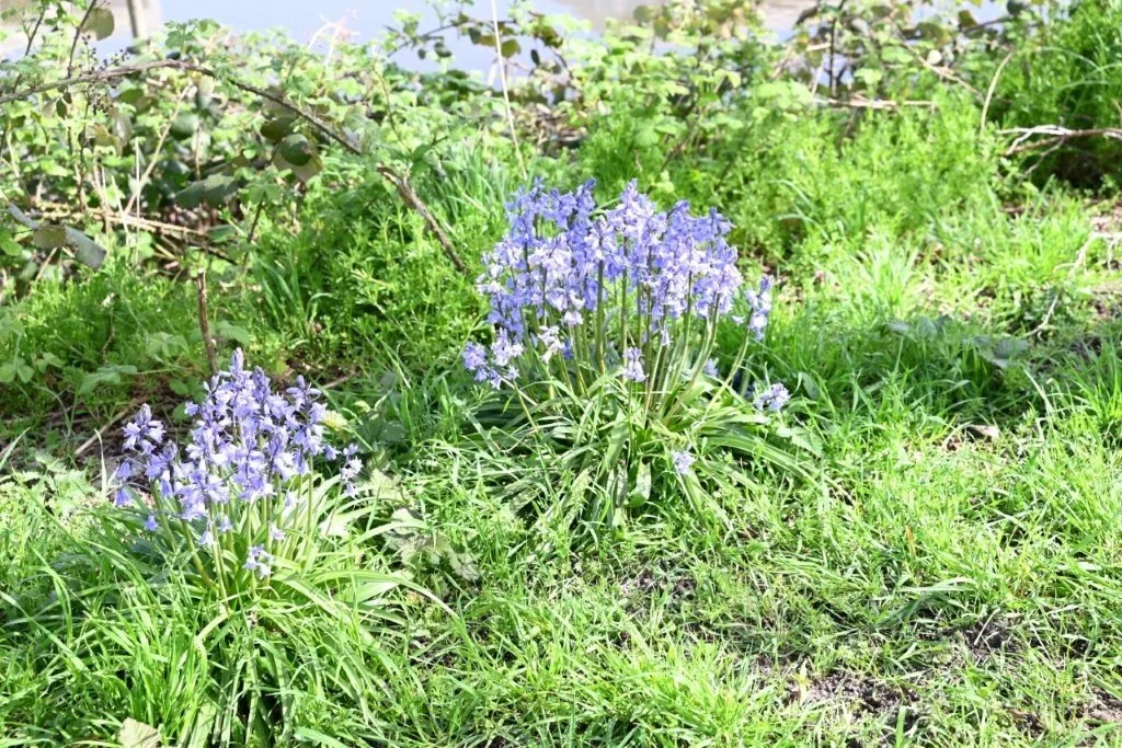 20260409_Jachthaventocht (gr) (26).jpg