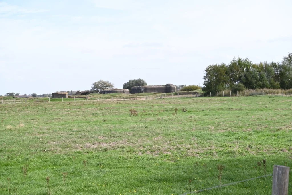 20260920_Duin en Poldertocht Lombardsijde (gr) (14).jpg