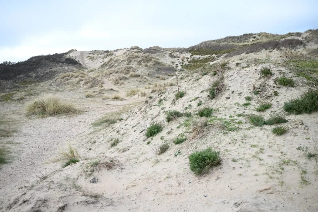 20251227_Winterwandeldag (groot) (24).jpg