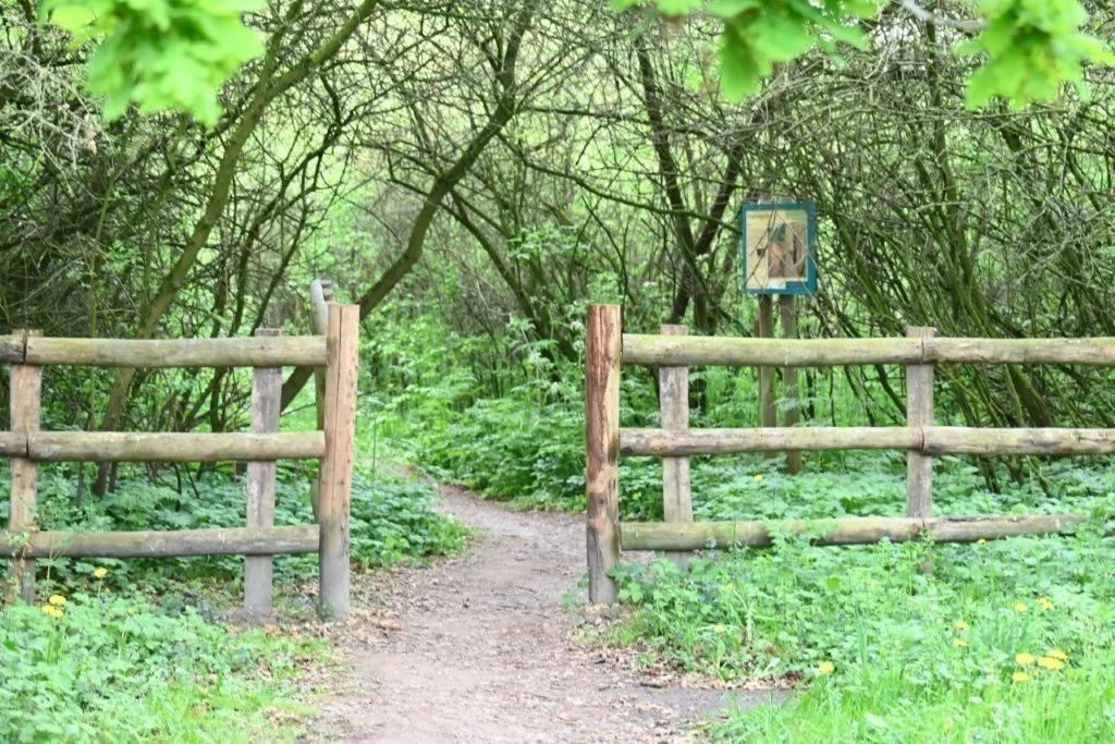 20250421_Oostkamp (klein) (35).jpg