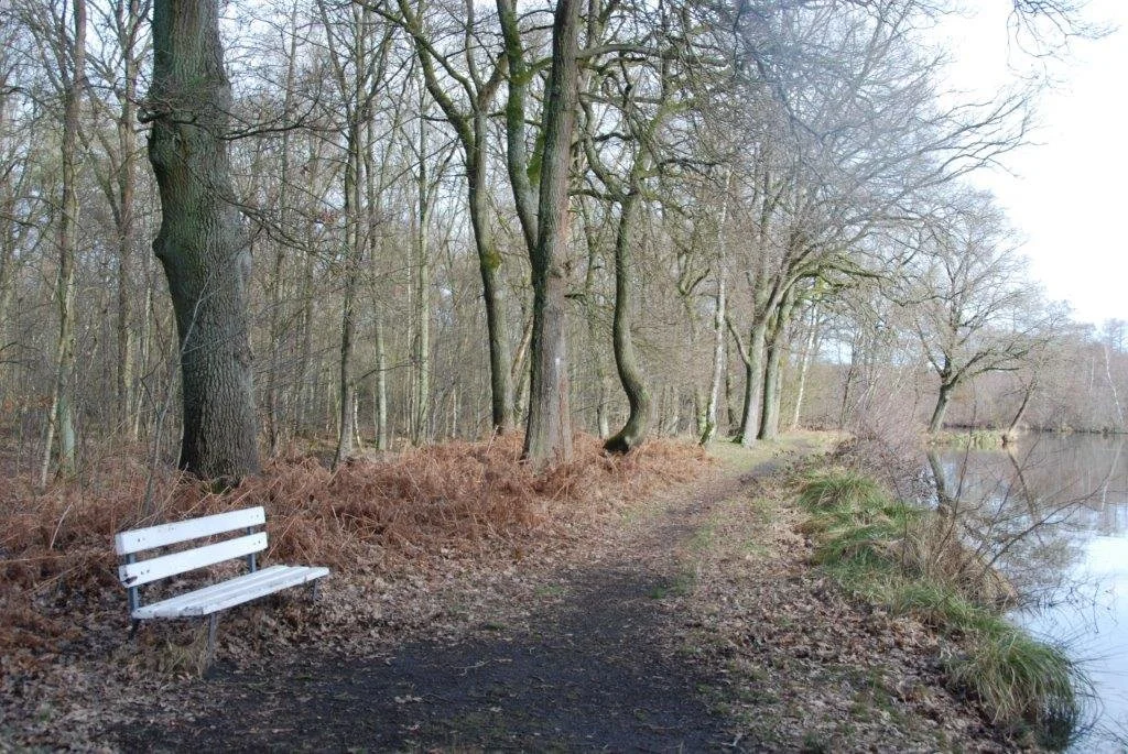 20230311_Hasselt Bokrijk (klein) (28).jpg