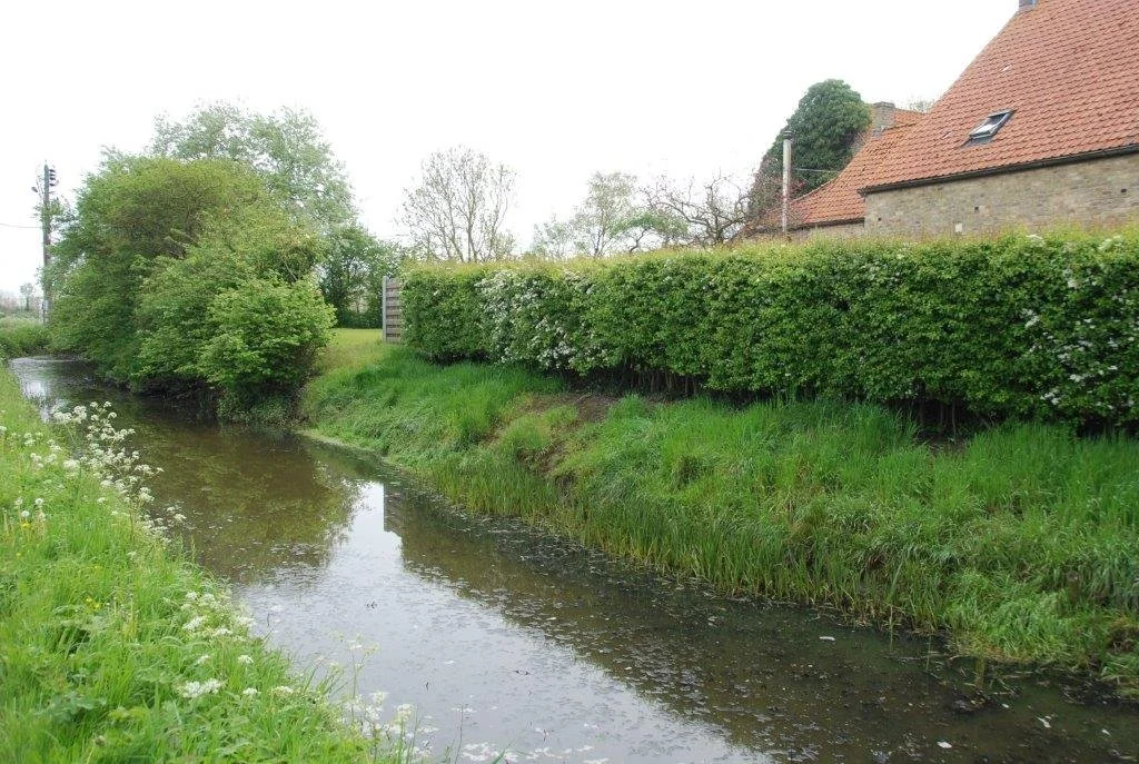 20230506_Butterblommetocht Alverimgem_ (klein) (30).jpg
