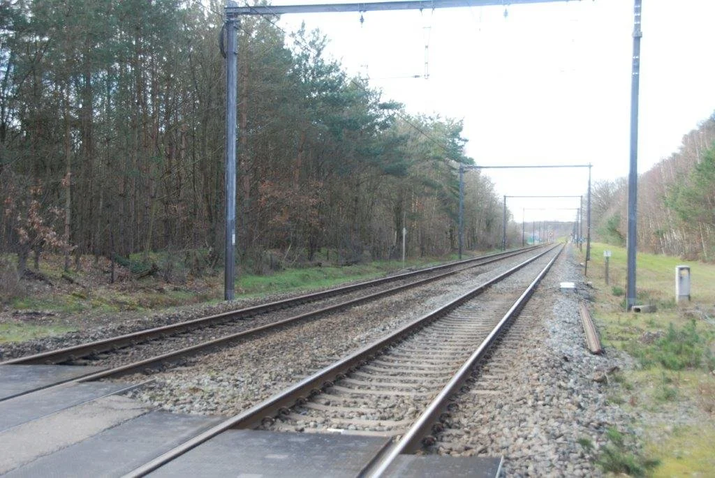 20230311_Hasselt Bokrijk (klein) (82).jpg