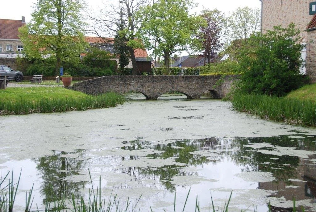 20230506_Butterblommetocht Alverimgem_ (klein) (90).jpg