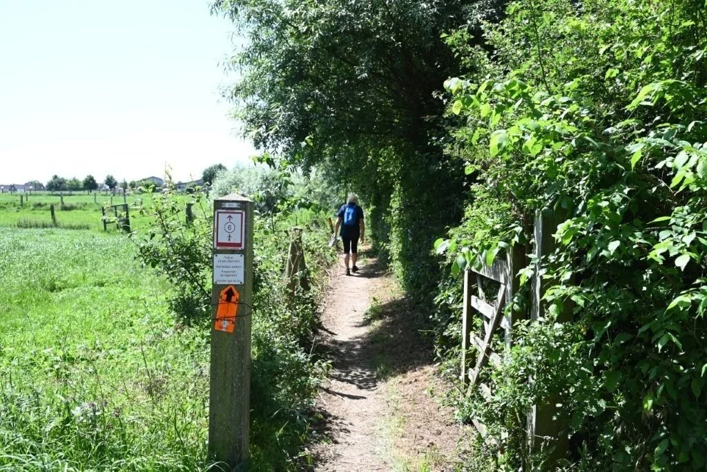 20260525_Wijngaardtocht van Heuvellandstappers (gr) (46).jpg