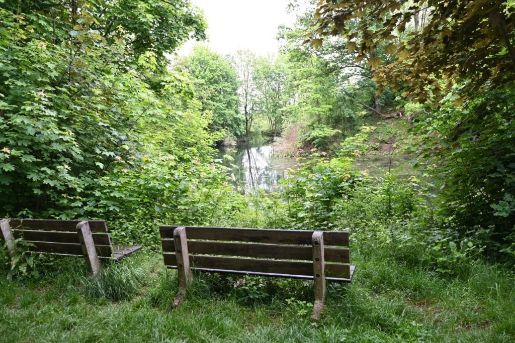 20260517_Mariëndaaltocht (gr) (23).jpg