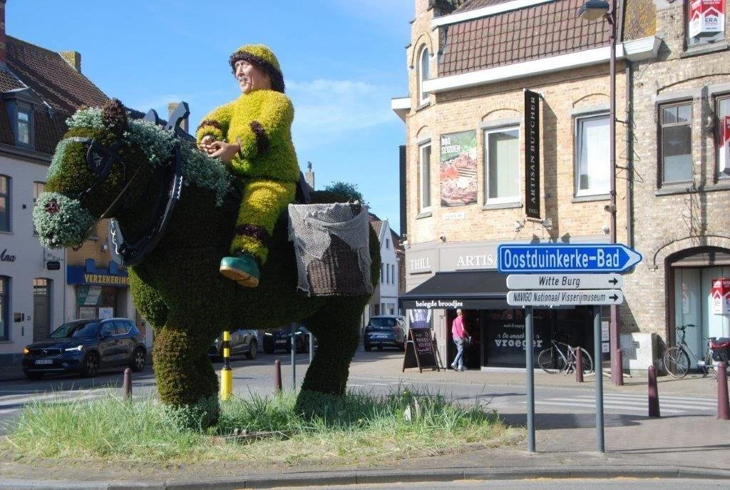 20240629_paardenvisser (klein (2).jpg