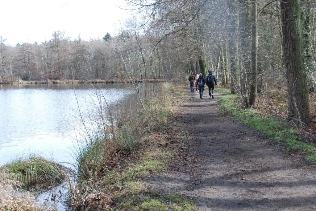 20230311_Hasselt Bokrijk (klein) (29).jpg