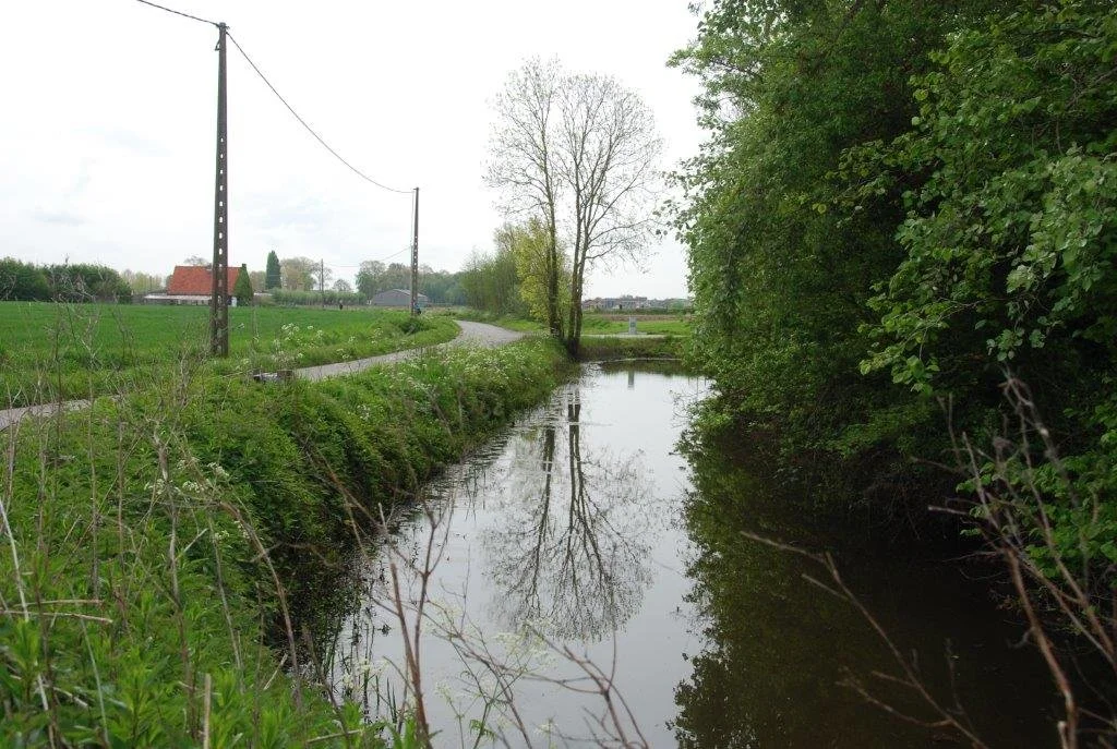 20230506_Butterblommetocht Alverimgem_ (klein) (31).jpg