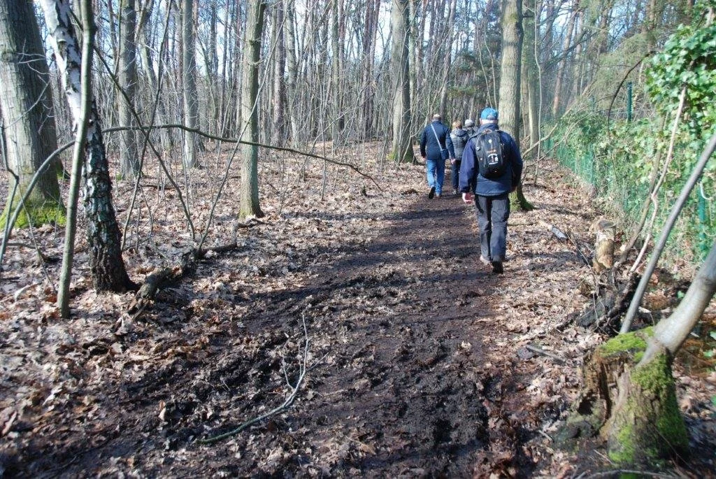 20230311_Hasselt Bokrijk (klein) (83).jpg