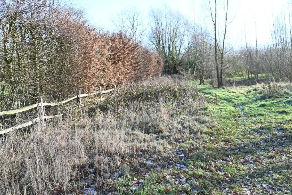 20260104_Nieuwjaarstocht De Pinte (groot) (18).jpg