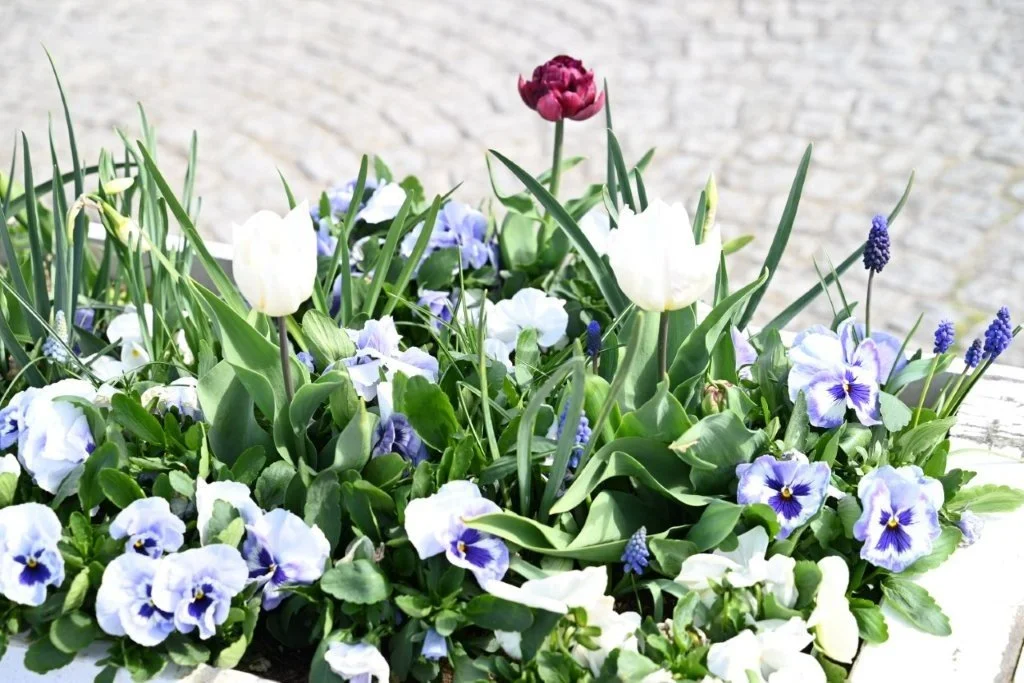 20260409_Jachthaventocht (gr) (29).jpg