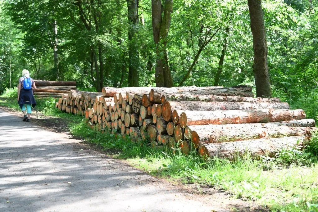 20260530_Wetzlar (gr) (13).jpg