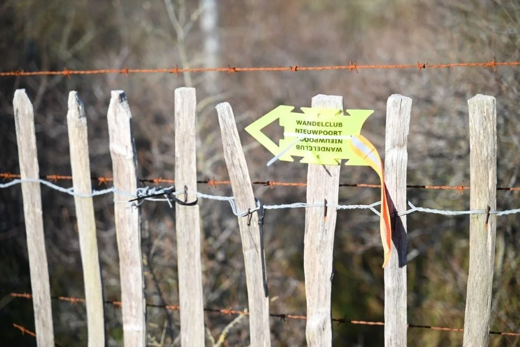 20251227_Winterwandeldag (groot) (17).jpg