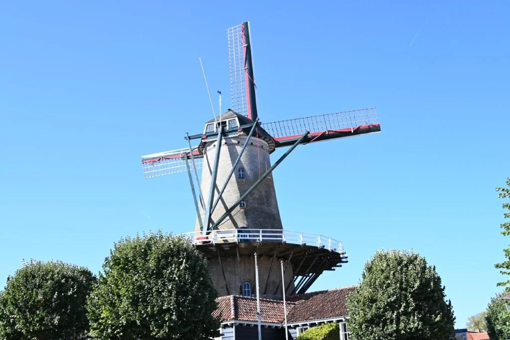 20260925_medewerkersuitstap (38).jpg