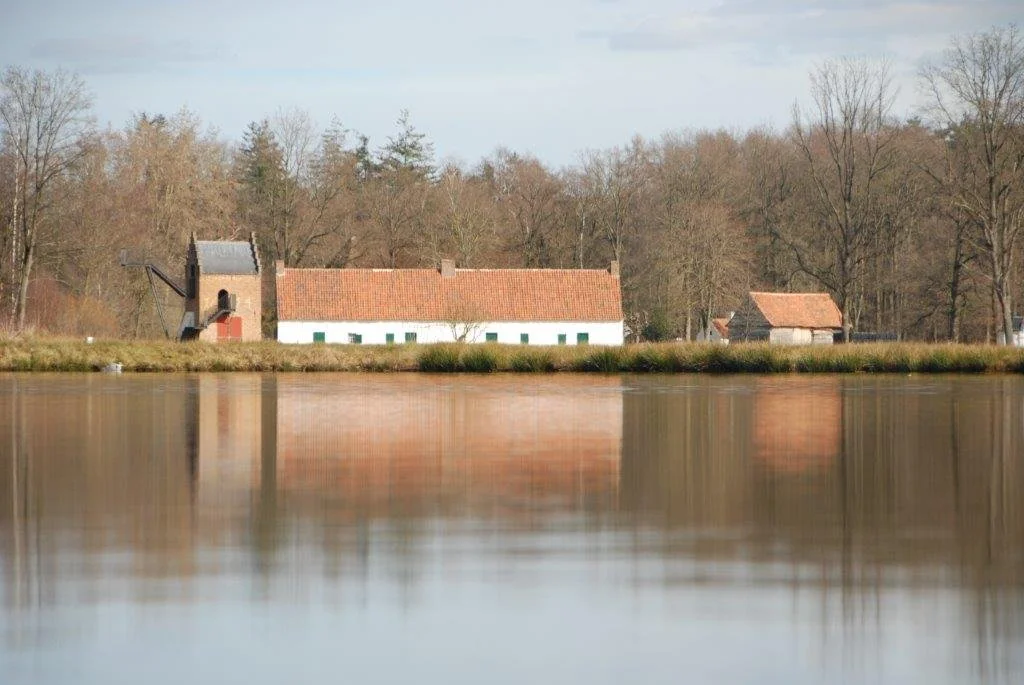 20230311_Hasselt Bokrijk (klein) (72).jpg