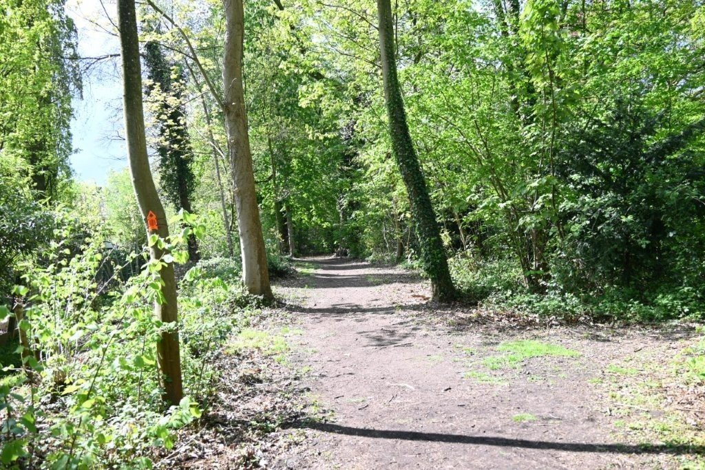 20250421_Oostkamp (klein) (20).jpg