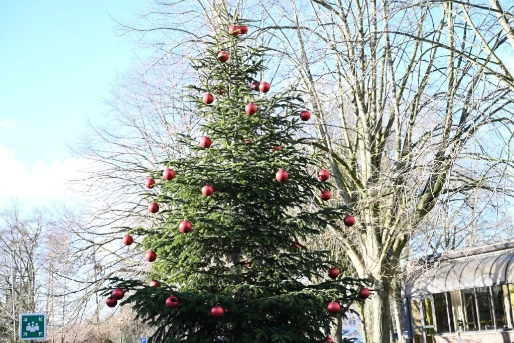 20260104_Nieuwjaarstocht De Pinte (groot) (31).jpg