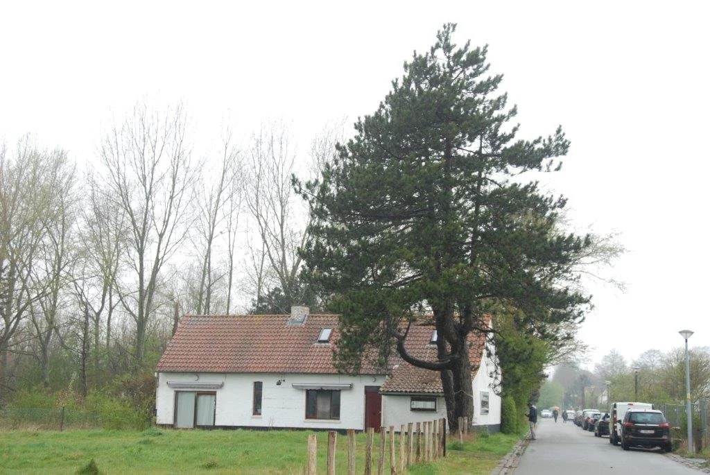 20230406_Jachthaventocht_(klein) (22).jpg