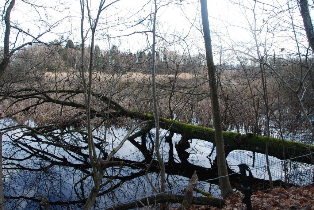 20230311_Hasselt Bokrijk (klein) (25).jpg