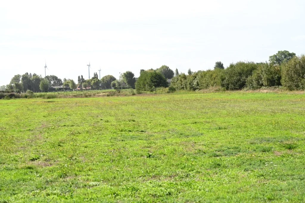 20260920_Duin en Poldertocht Lombardsijde (gr) (22).jpg