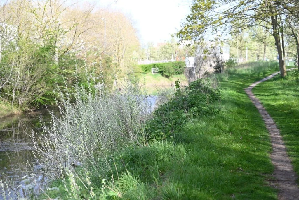 20260409_Jachthaventocht (gr) (17).jpg