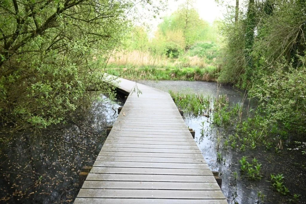 20250421_Oostkamp (klein) (47).jpg