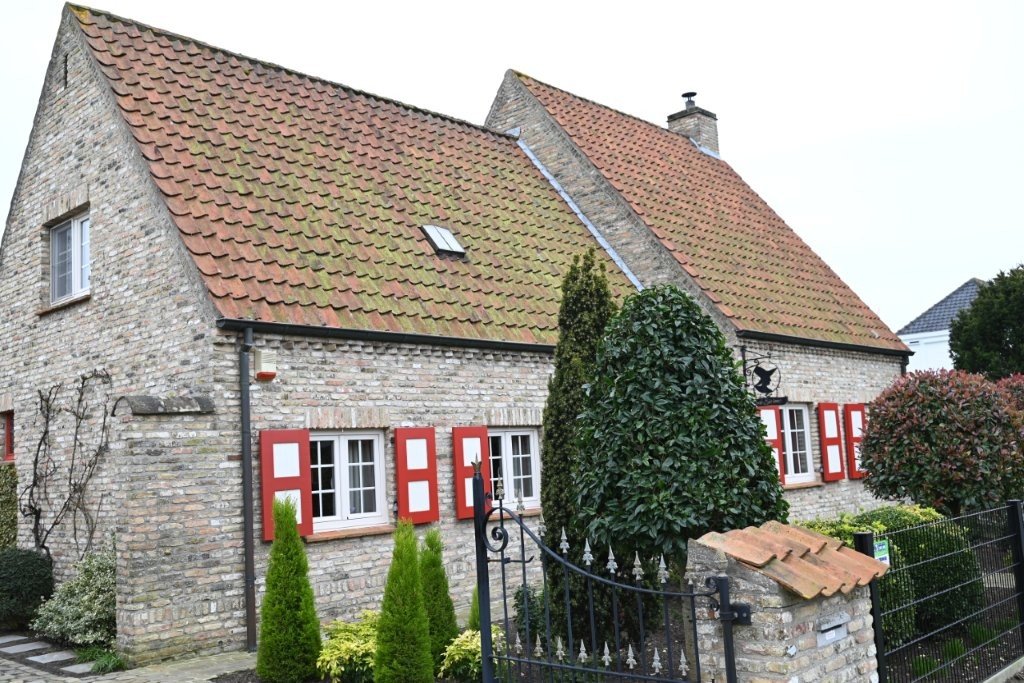 20260215_Kruwerstocht (gr) (18).jpg