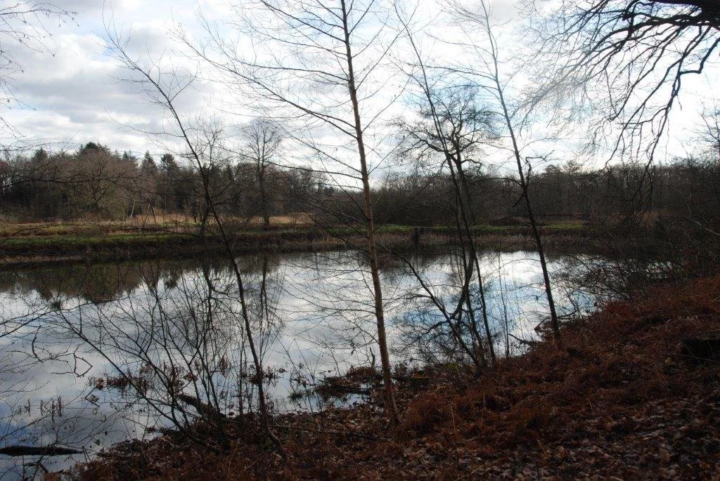 20230311_Hasselt Bokrijk (klein) (24).jpg
