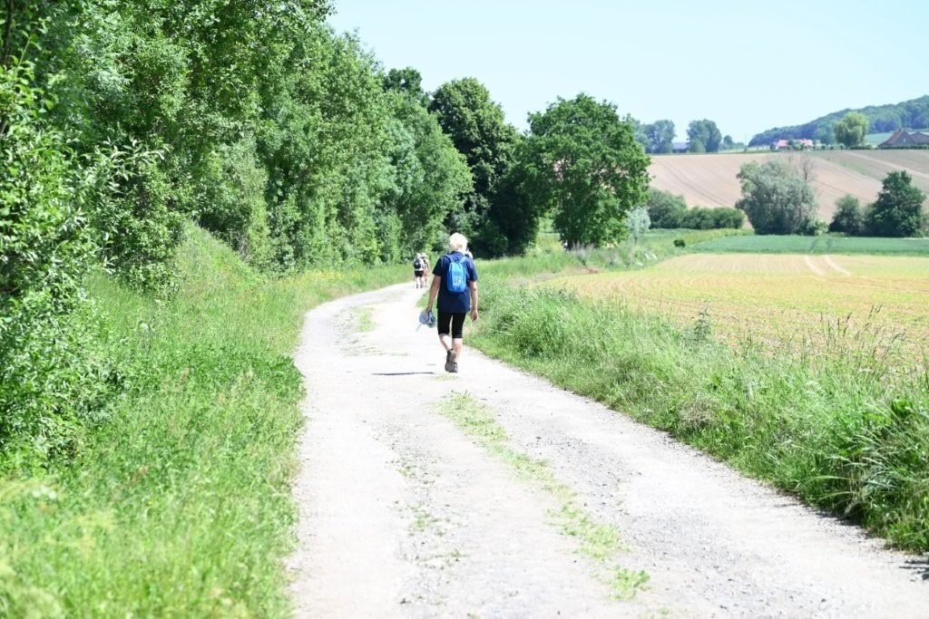 20260525_Wijngaardtocht van Heuvellandstappers (gr) (26).jpg