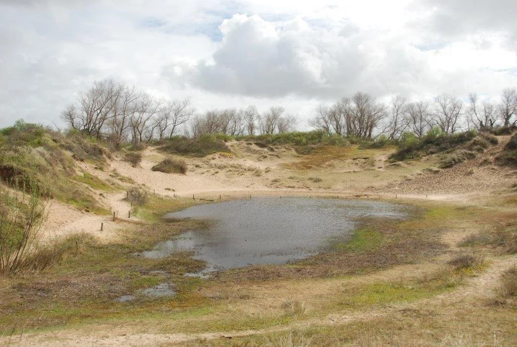 20240404_jachthaven (klein) (26).jpg