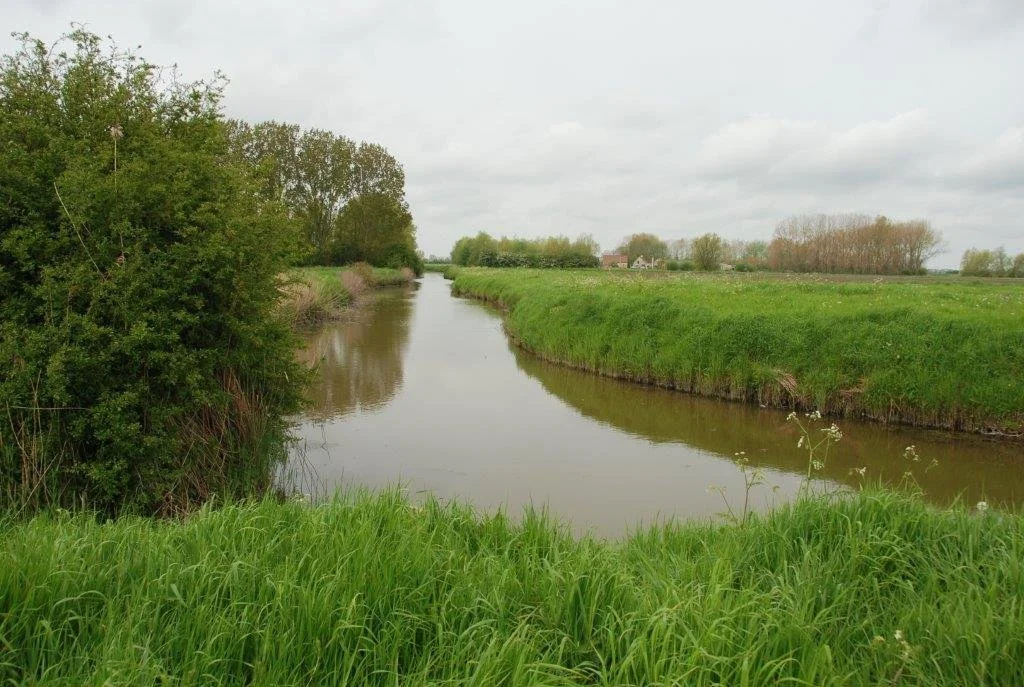 20230506_Butterblommetocht Alverimgem_ (klein) (53).jpg