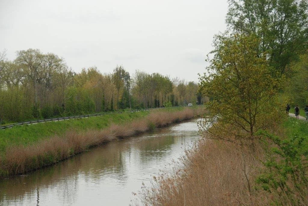 20230506_Butterblommetocht Alverimgem_ (klein) (34).jpg