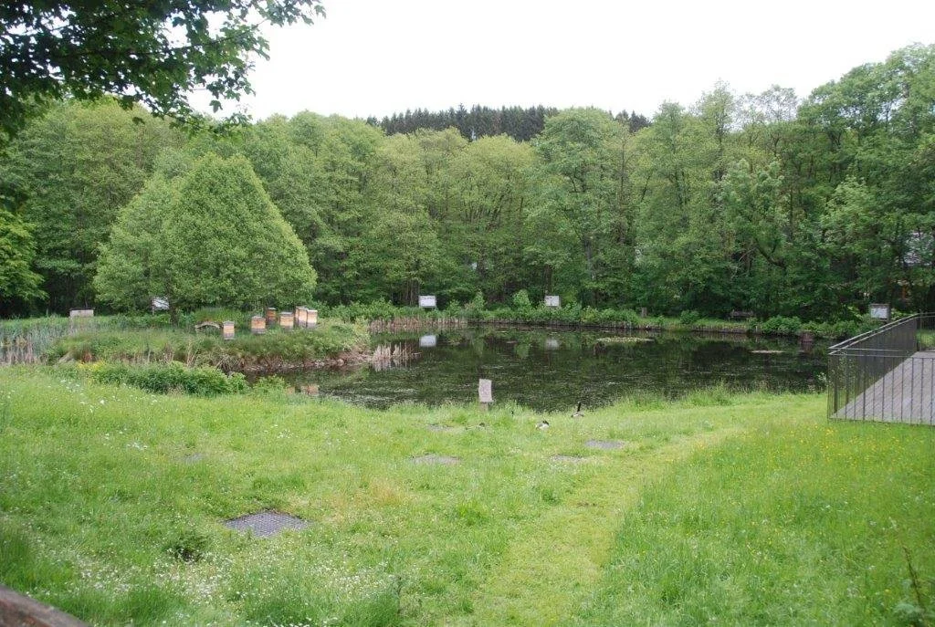 20240531 1 Houffalize (44).jpg