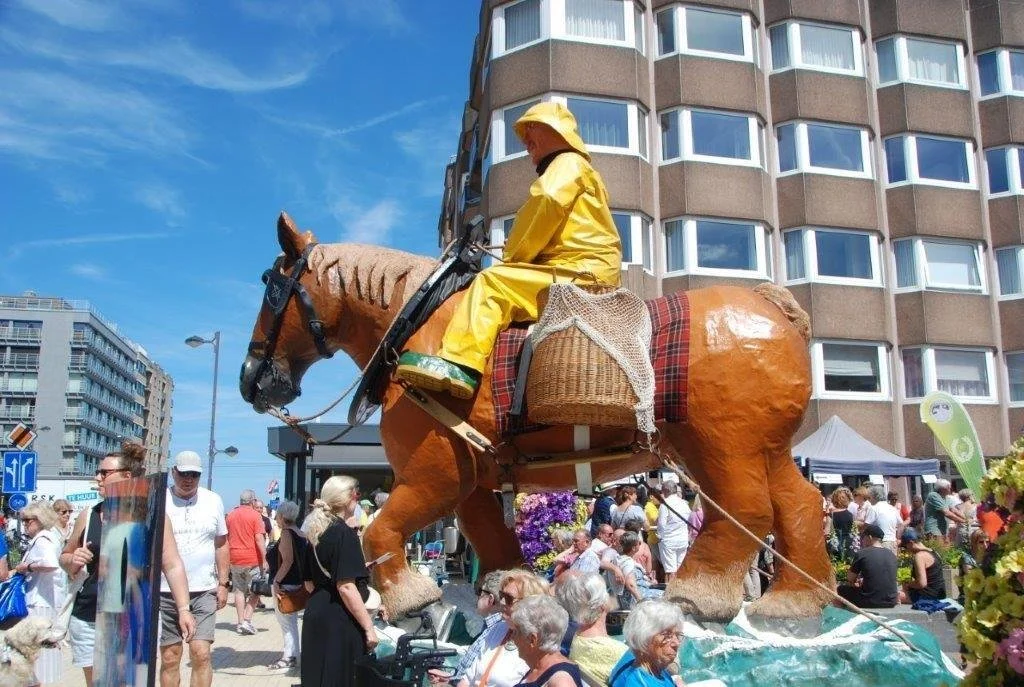 20240629_paardenvisser (klein (38).jpg