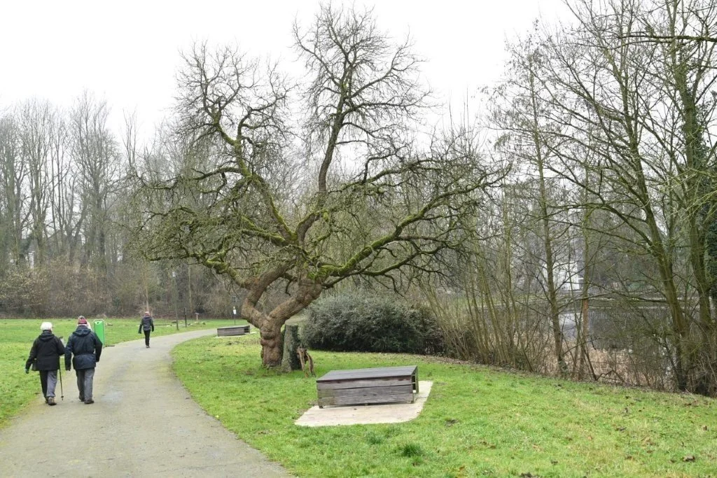 20260125_Manneken Pis-tocht (kl) (27).jpg