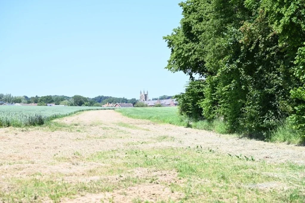 20260525_Wijngaardtocht van Heuvellandstappers (gr) (28).jpg