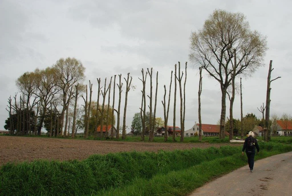 20230506_Butterblommetocht Alverimgem_ (klein) (27).jpg