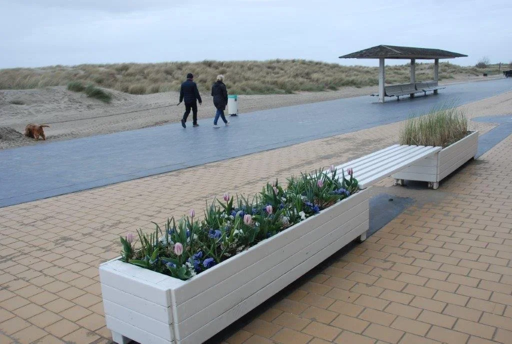 20240404_jachthaven (klein) (31).jpg