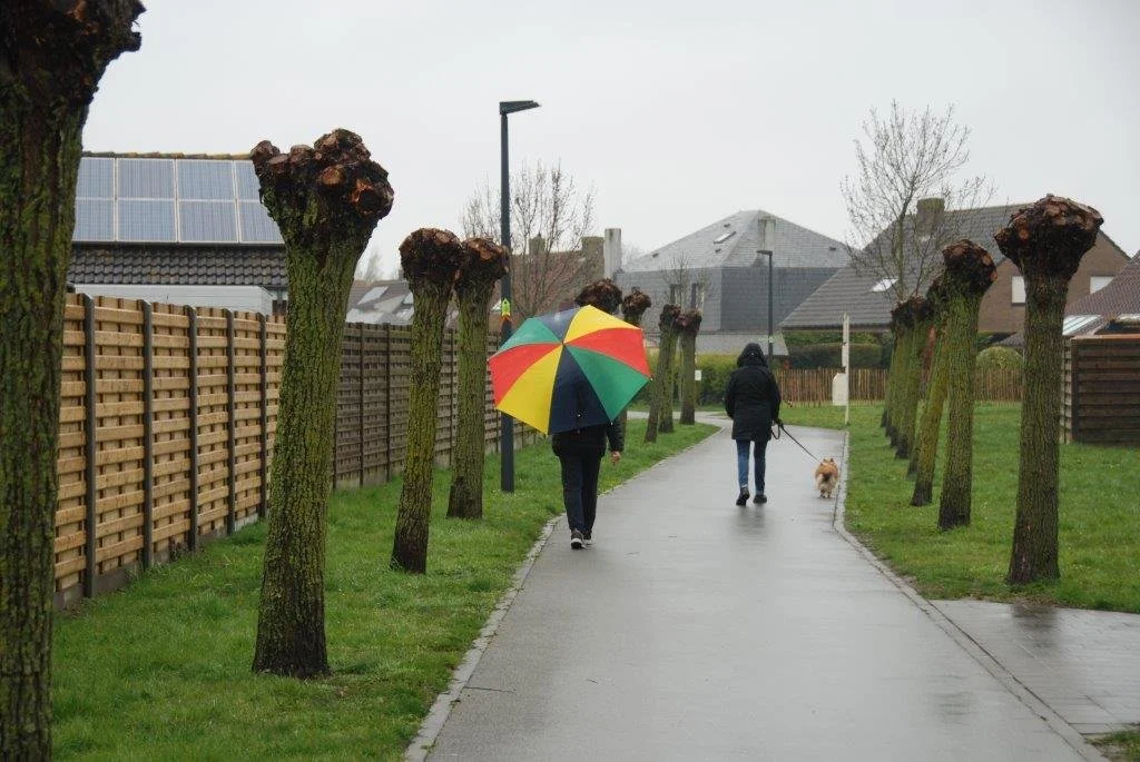 20230406_Jachthaventocht_(klein) (21).jpg