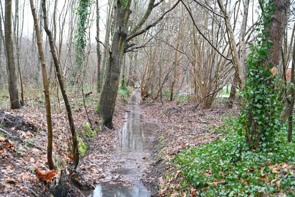 20260222_Zoersel_Trappistentocht (kl) (31).jpg