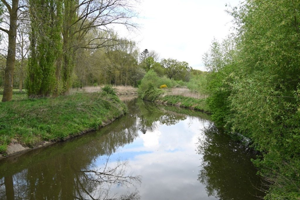 20250421_Oostkamp (klein) (34).jpg