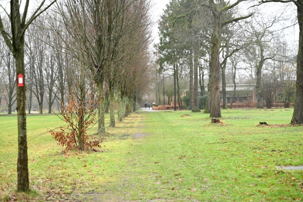 20260222_Zoersel_Trappistentocht (kl) (19).jpg