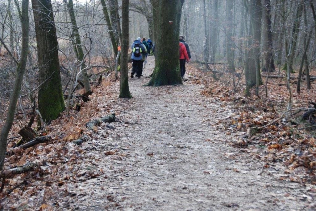 20230311_Hasselt Bokrijk (klein) (23).jpg