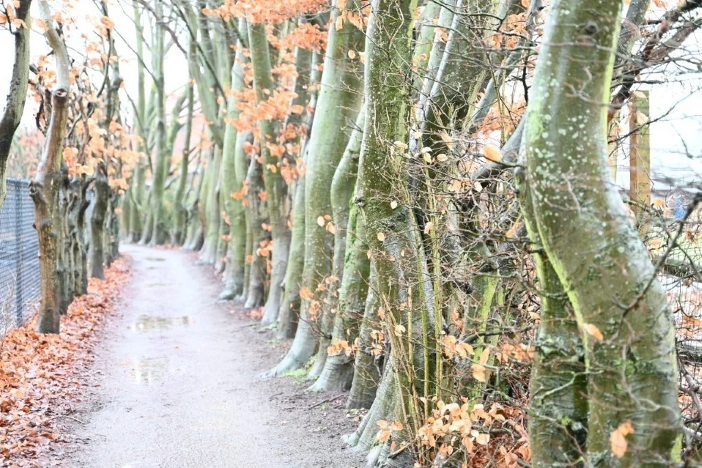 20260222_Zoersel_Trappistentocht (kl) (21).jpg