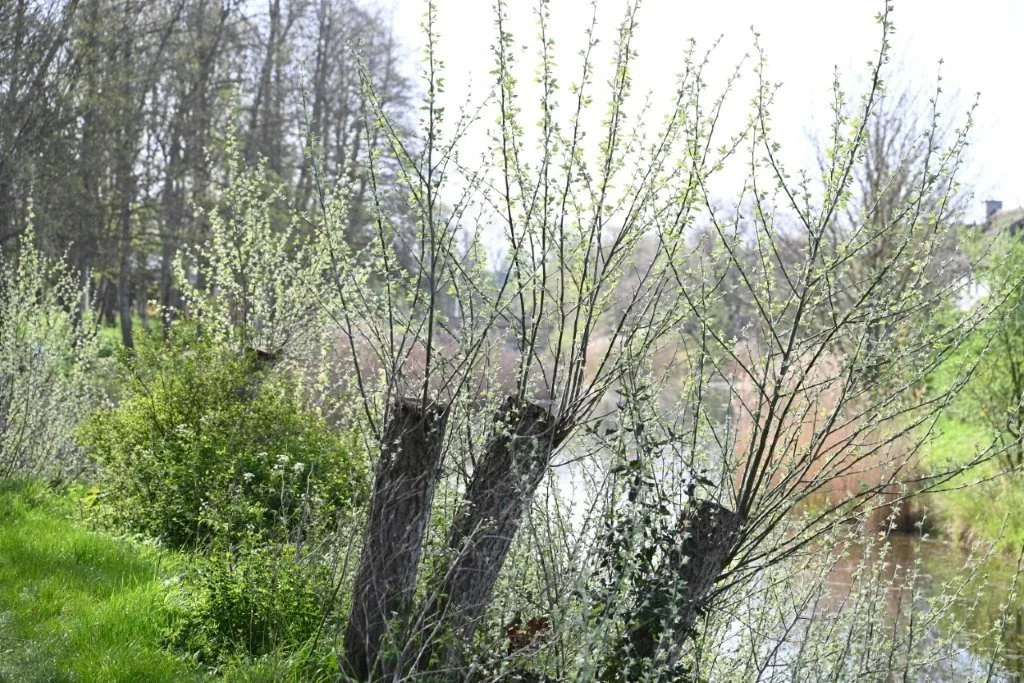 20260409_Jachthaventocht (gr) (16).jpg