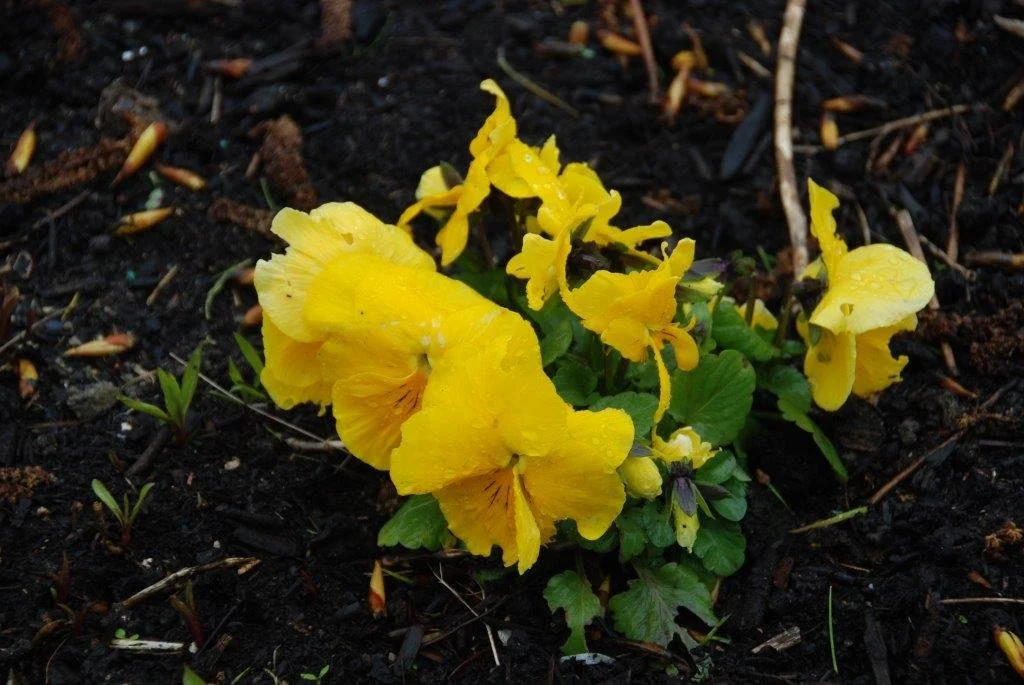 20230406_Jachthaventocht_(klein) (20).jpg