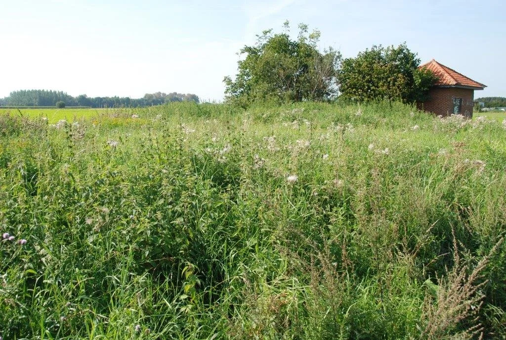 20230910_Humbeek (klein) (26).jpg