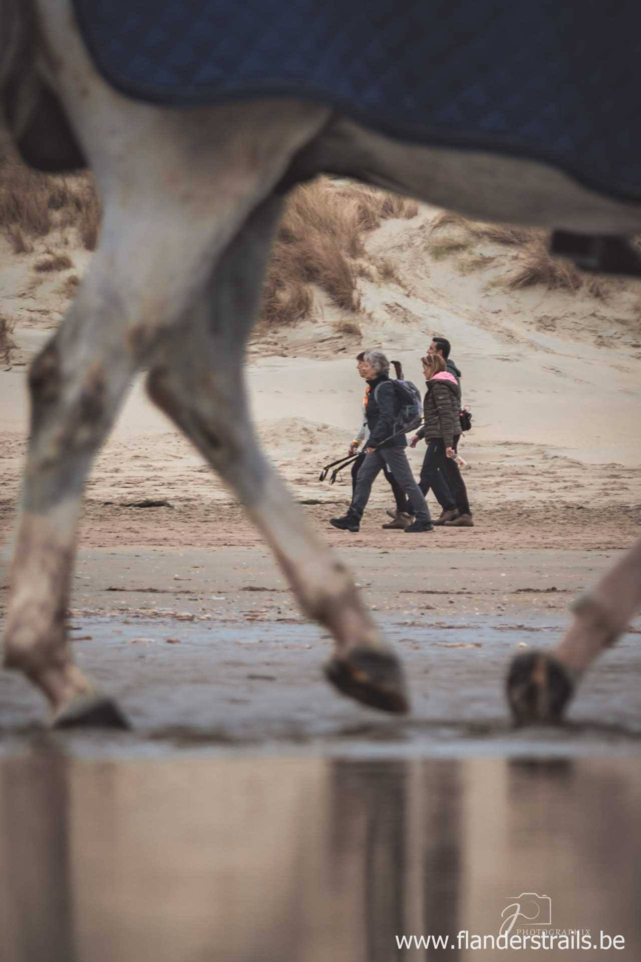 Peerdevisschers Walk (240).jpg